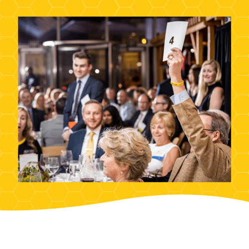 Website Graphics-2