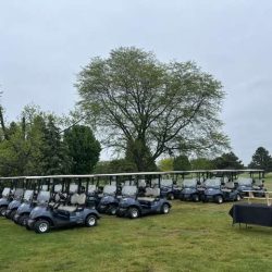 A row of golf carts is parked on the grass near a large tree on a cloudy day, with a small table and chairs set up nearby on a golf course.